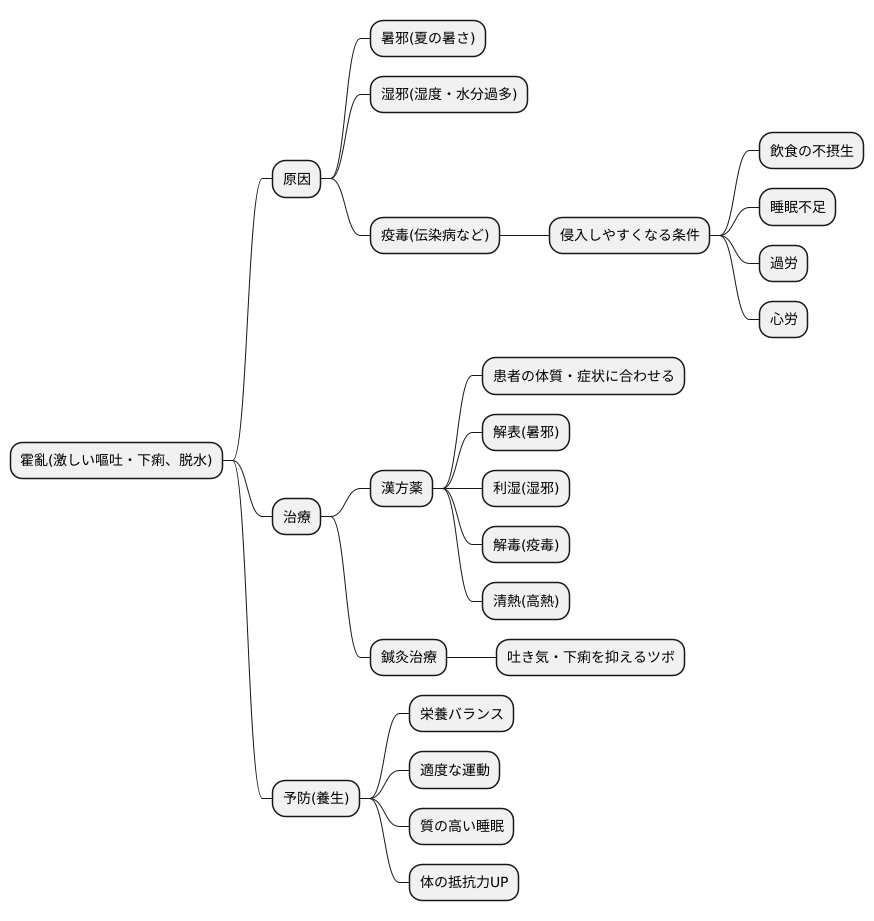 霍亂と東洋医学