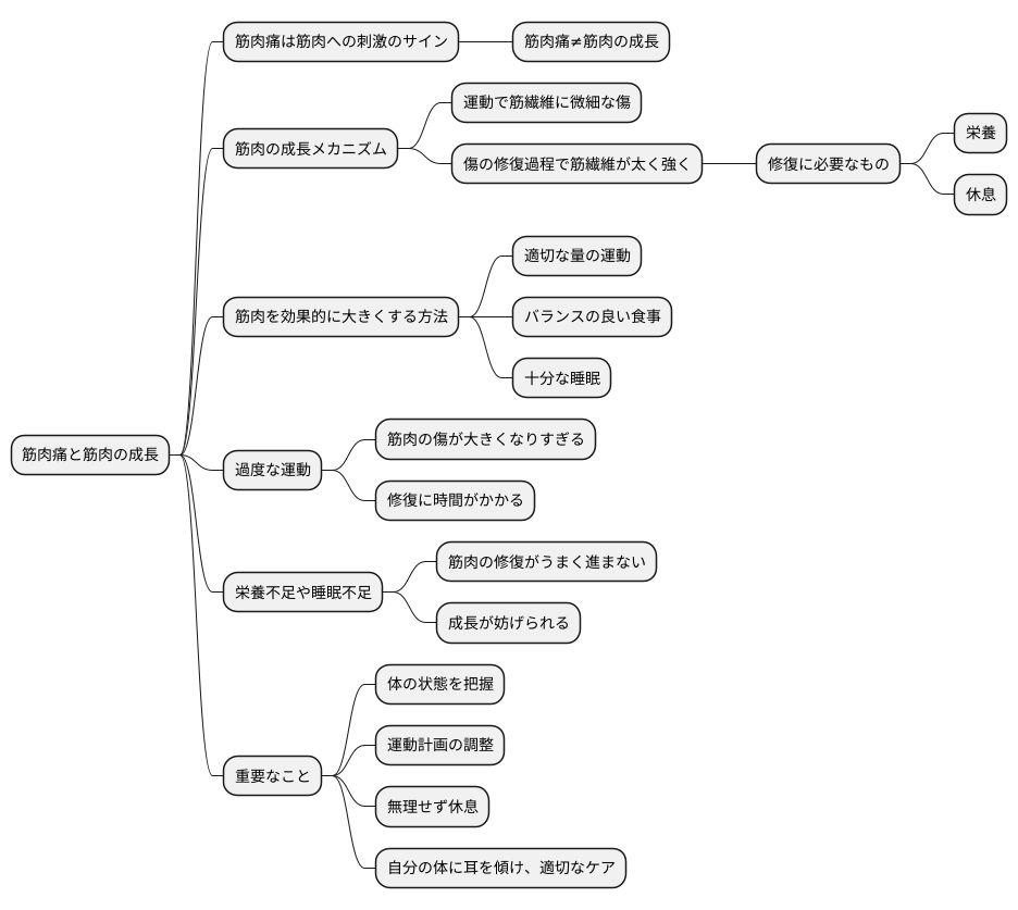 酸痛と成長の関係