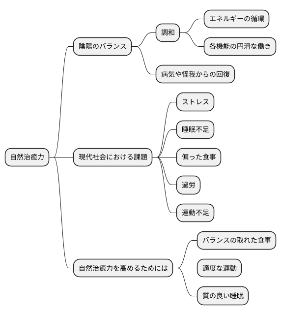 自然治癒力の向上