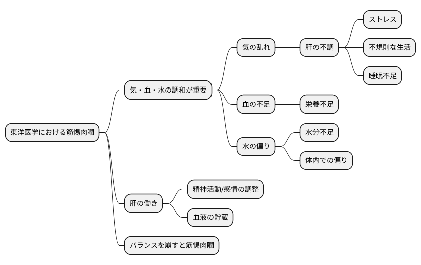 東洋医学的見解