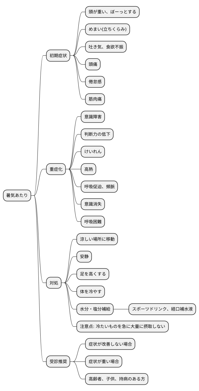 暑風の症状