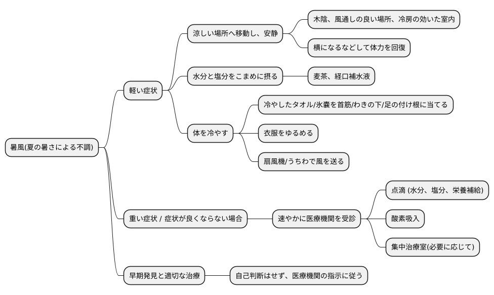 暑風の治療