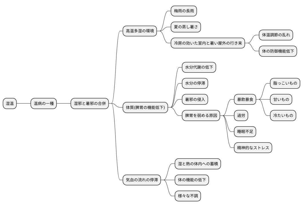 湿温の原因と病機