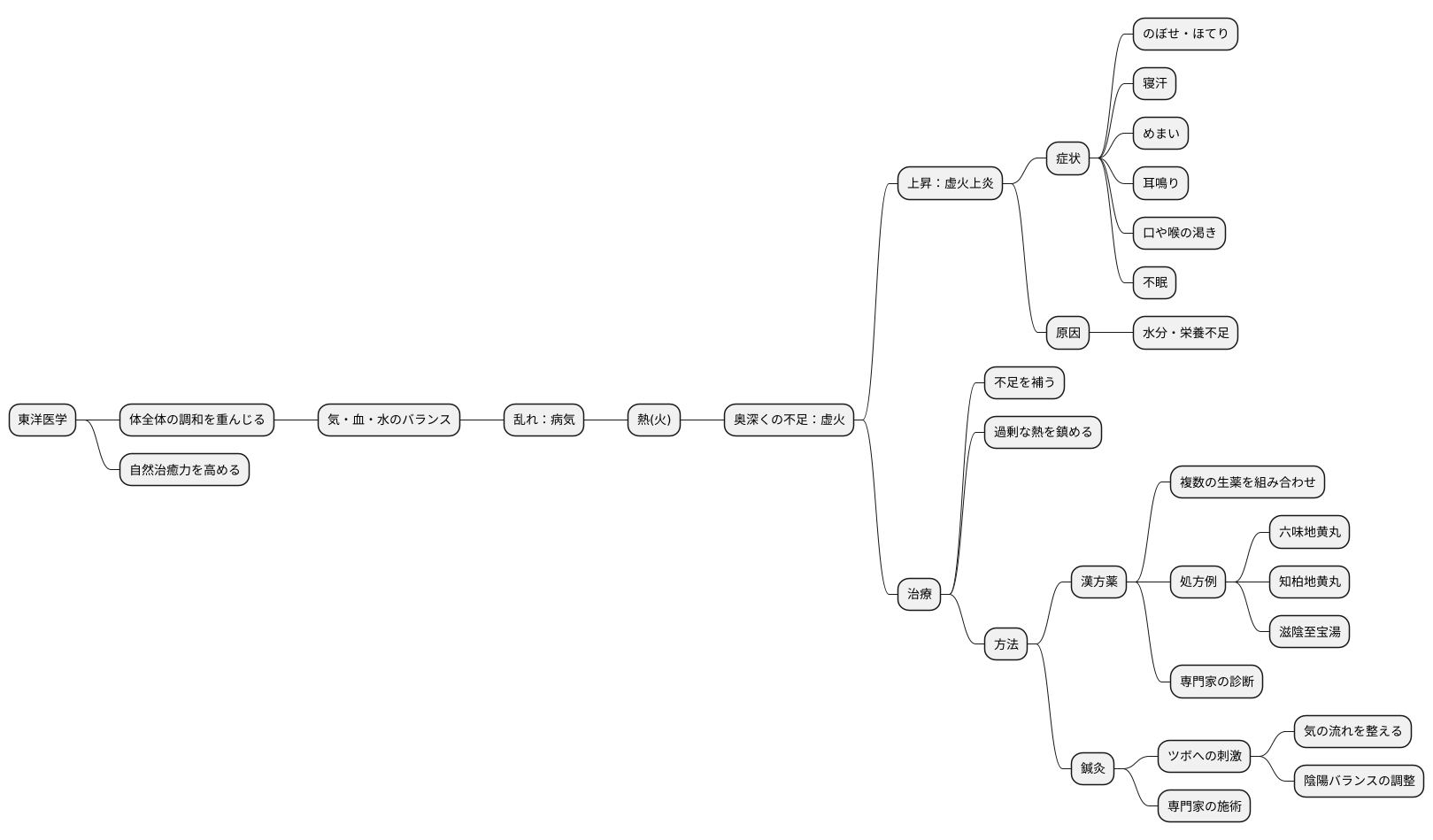 東洋医学的治療