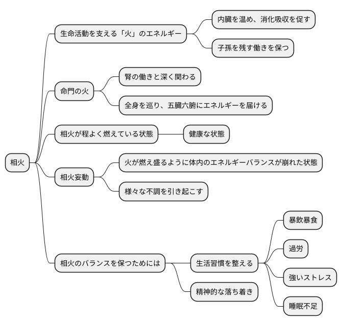 相火とは