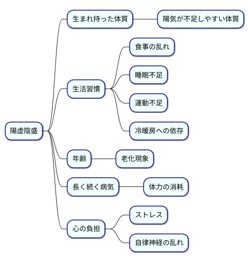 陽虚陰盛の原因