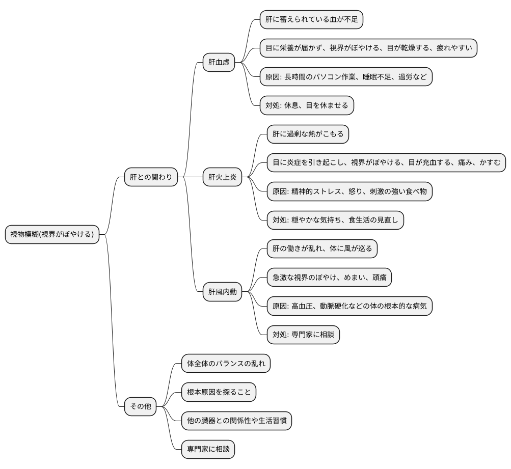 視物模糊の原因を探る