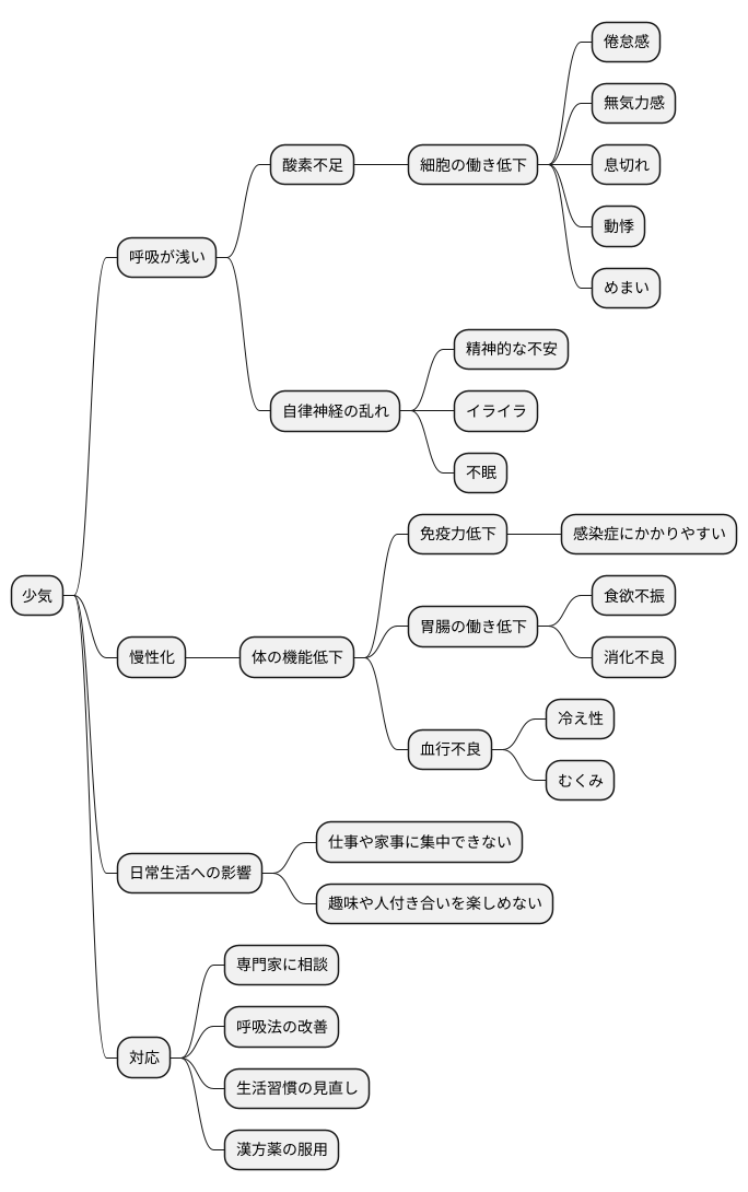少気の症状