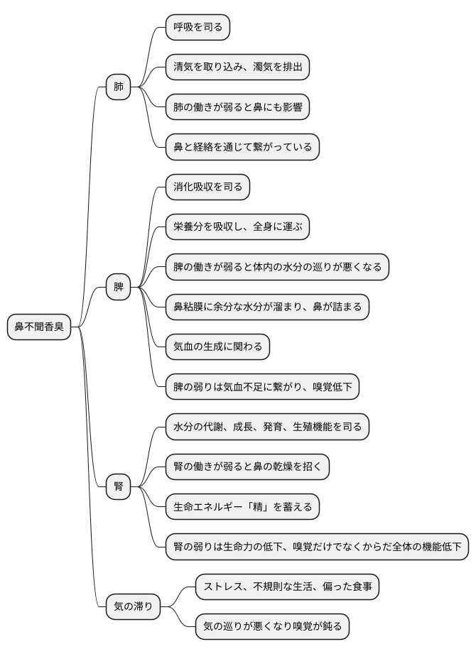 東洋医学における考え方