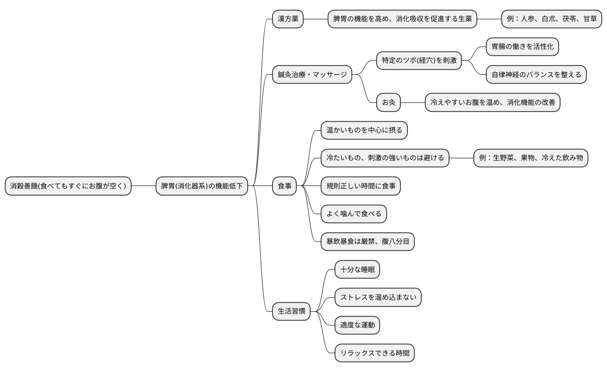 東洋医学的アプローチ
