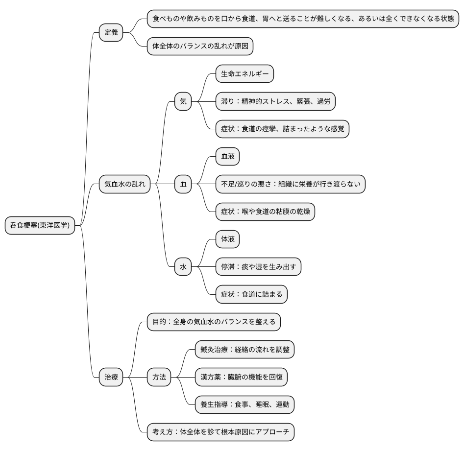 呑食梗塞とは