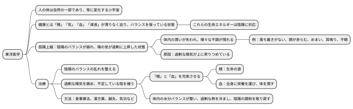 東洋医学的解釈