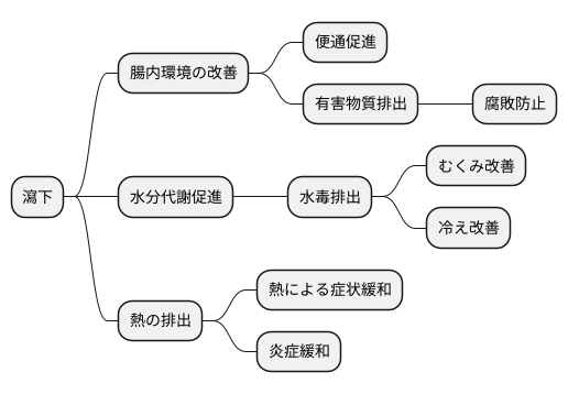 瀉下の作用機序