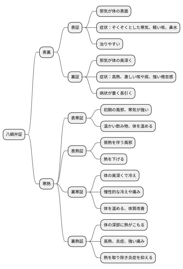 八綱弁証における表裏