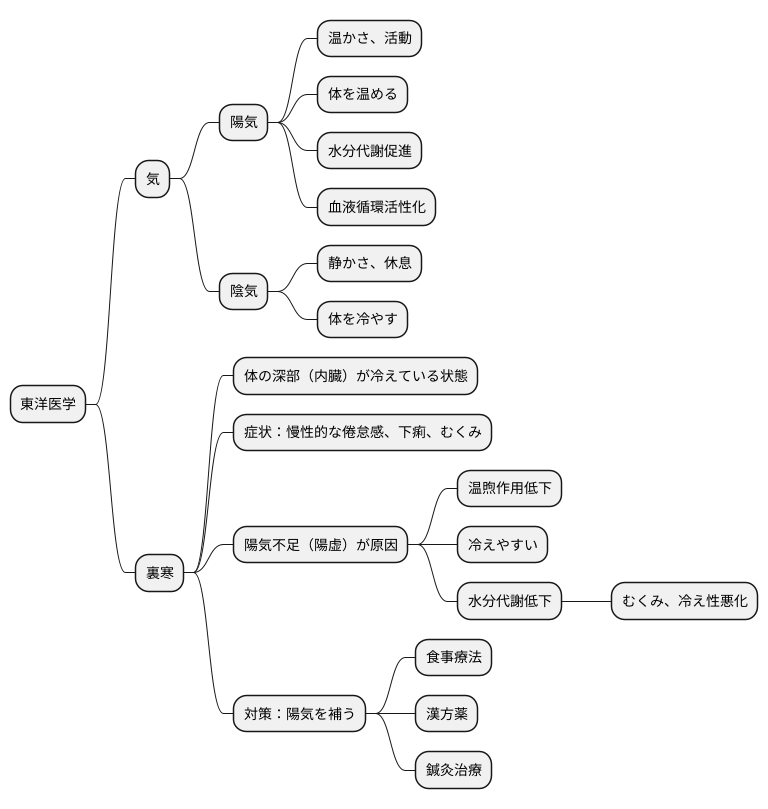 裏寒と陽虚の関係