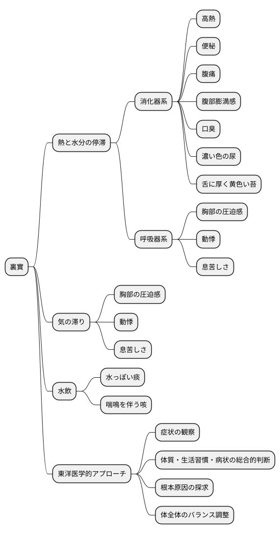 裏實の症状
