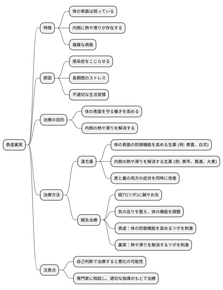 表虚裏実の治療