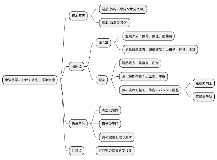 東洋医学的アプローチ