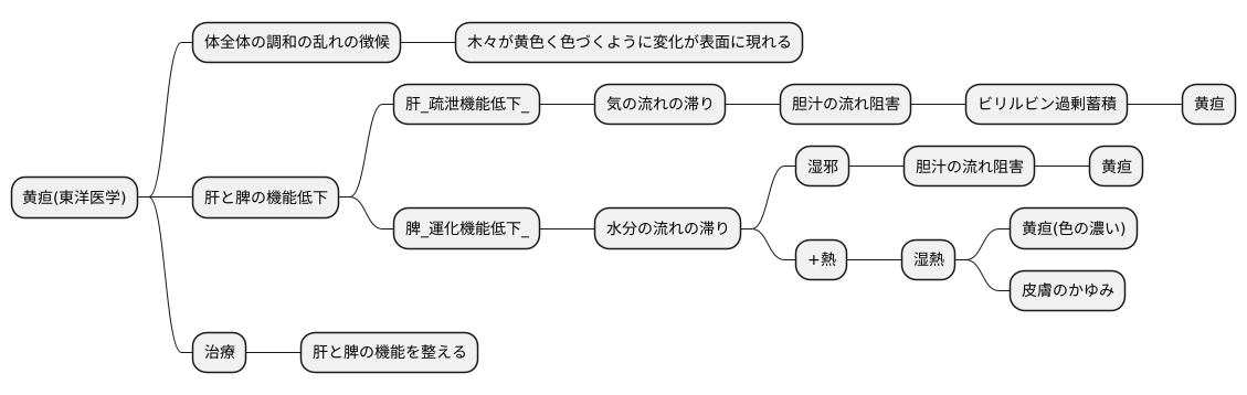 東洋医学における黄疸