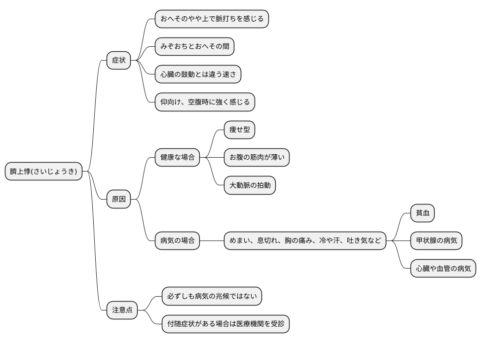おへその上の動悸とは