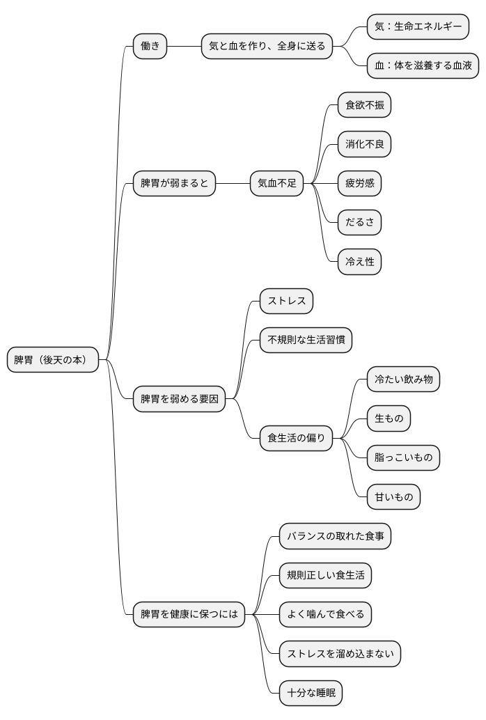 脾胃の大切さ