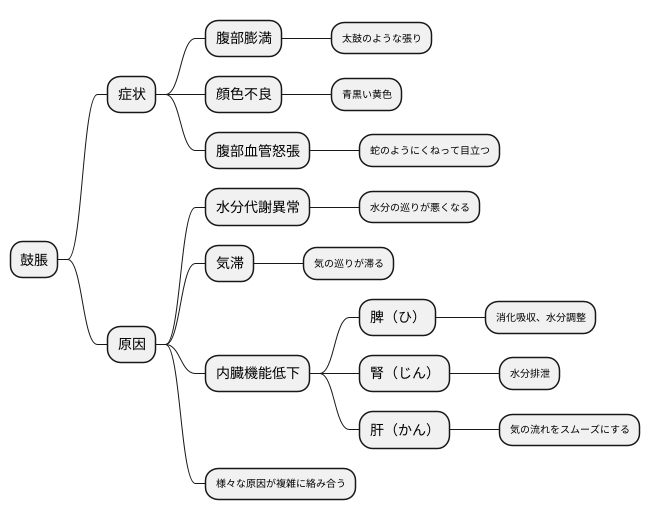 概要