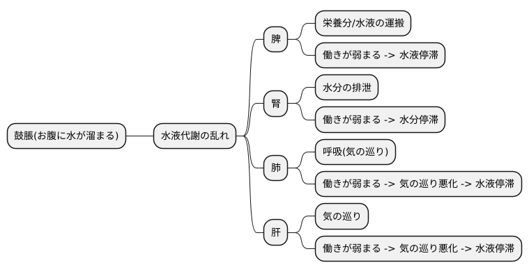 原因と病態