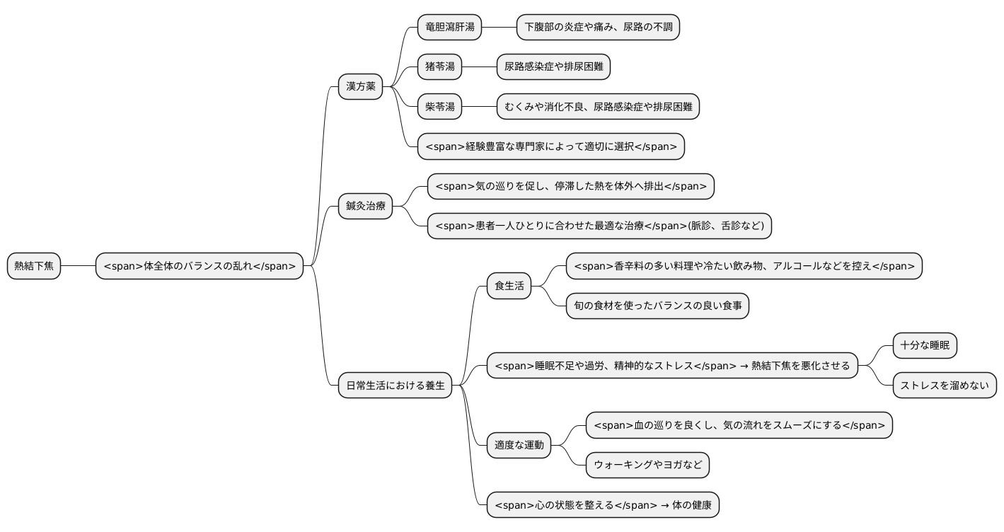 東洋医学的治療