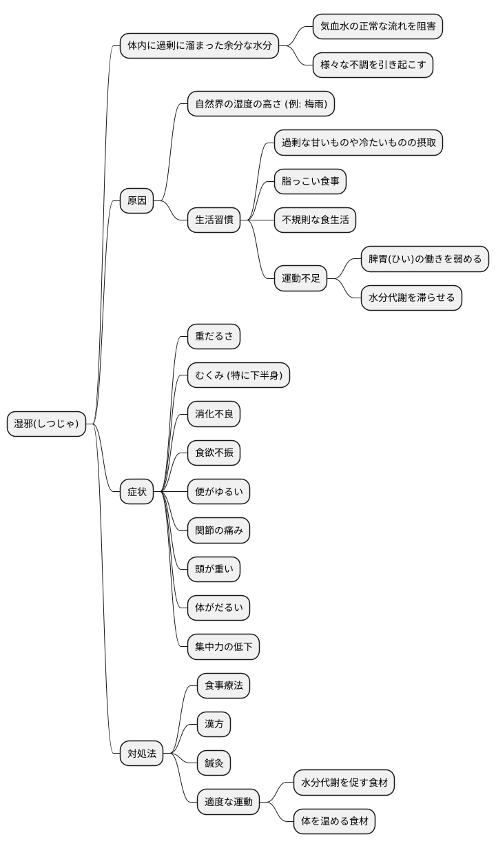 湿邪とは何か