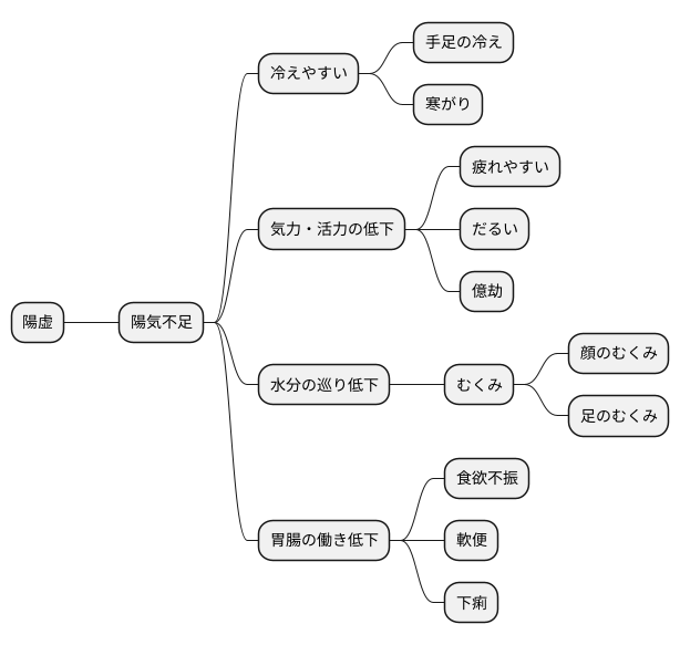 陽虚とは何か