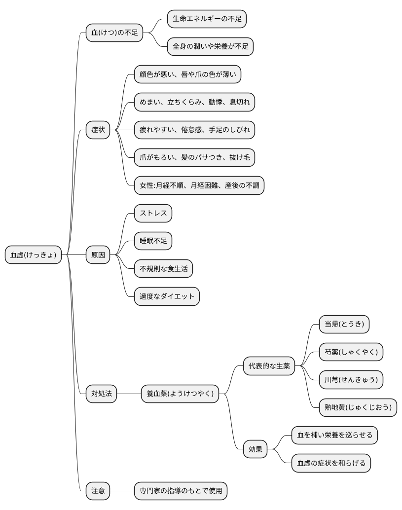 養血薬とは