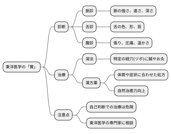 「實」の診断と治療