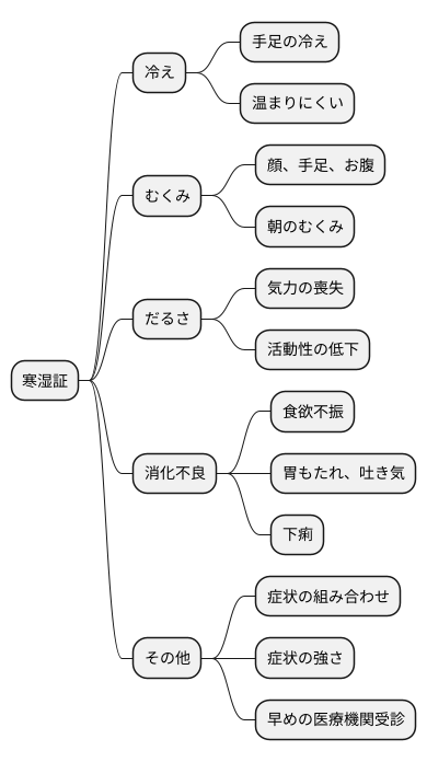 寒湿証の症状