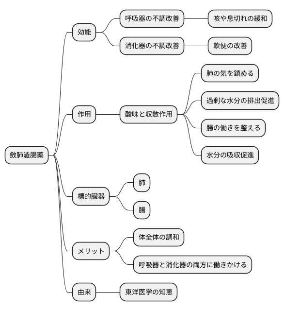 斂肺澁腸藥とは
