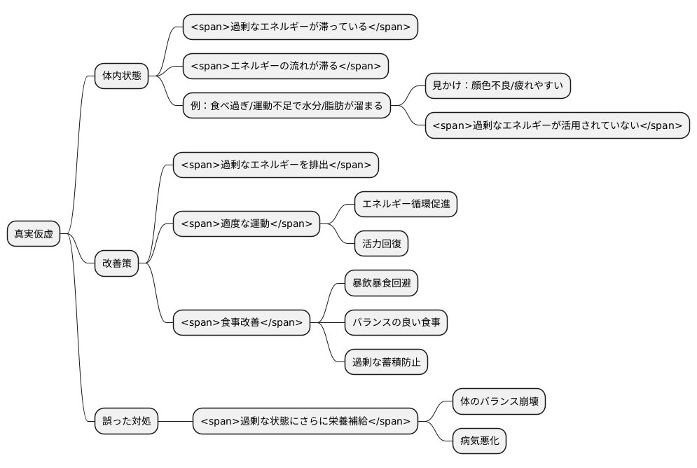 真実仮虚の状態