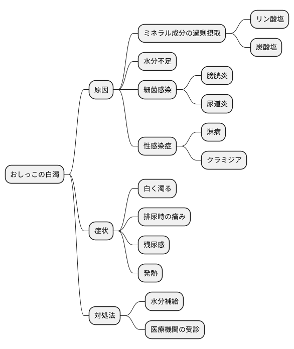 おしっこの白濁とは
