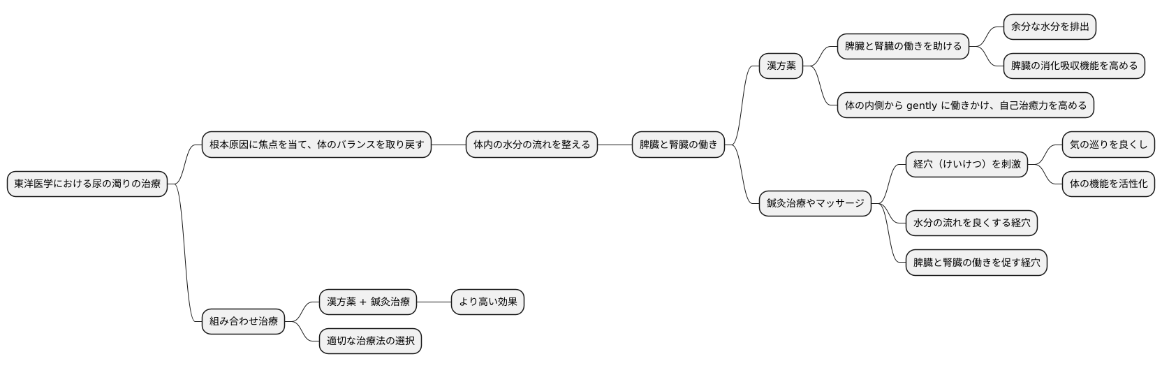 東洋医学的治療法