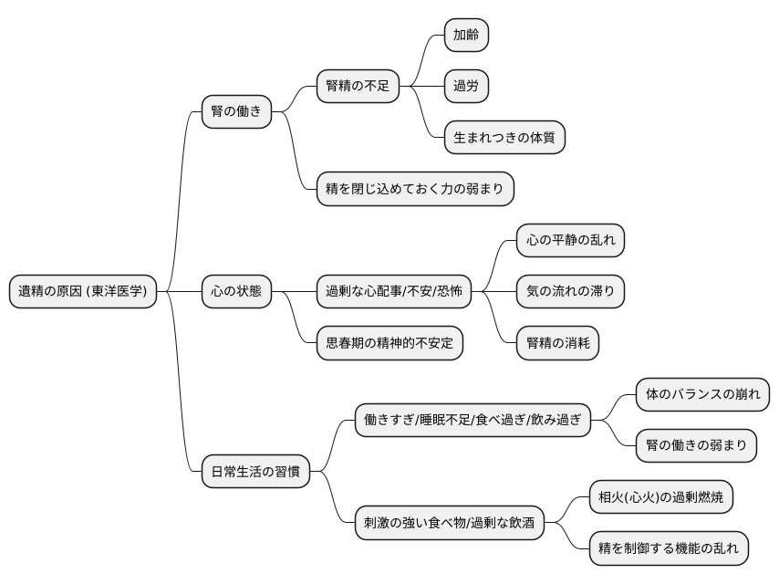 東洋医学における遺精の原因