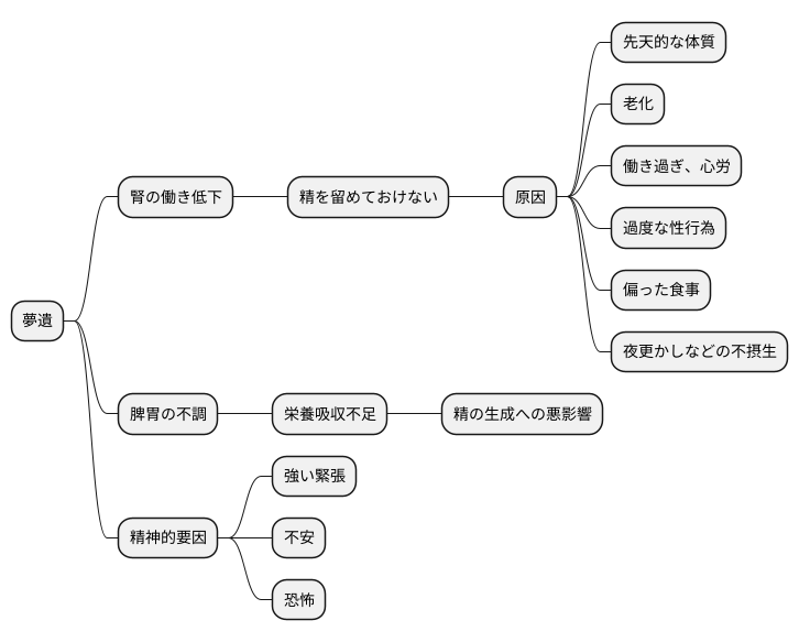 夢遺の主な原因