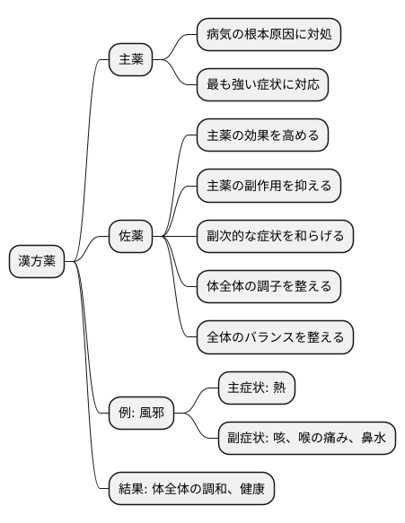 佐藥の役割：多様な症状への対応