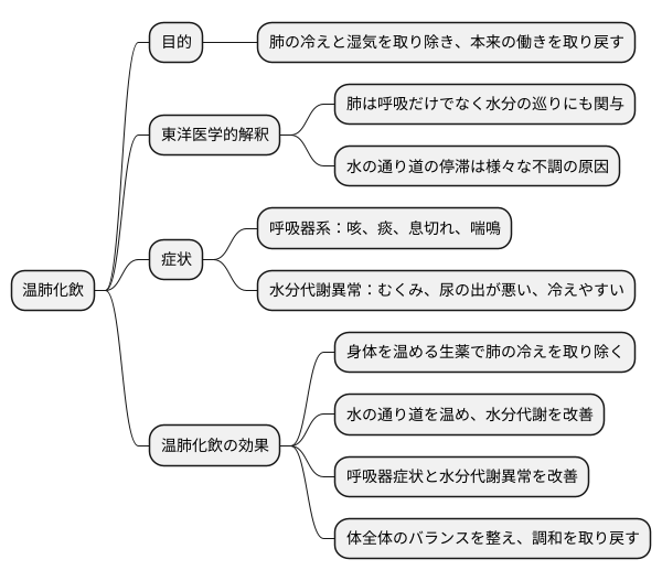 温肺化飲とは
