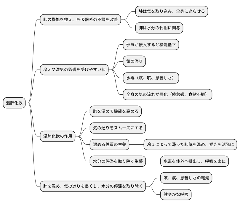 温肺化飲の作用機序