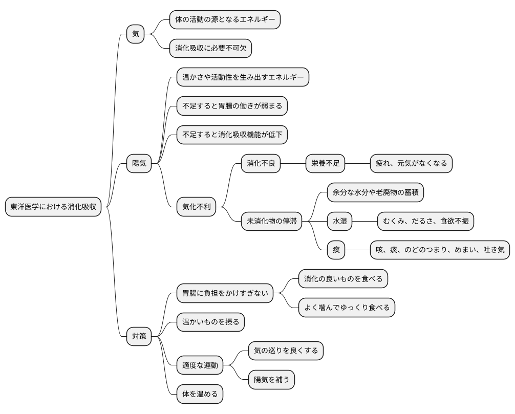 消化吸収との関連性