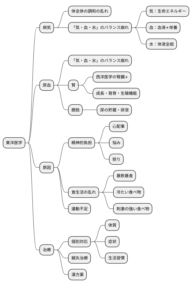 東洋医学における考え方
