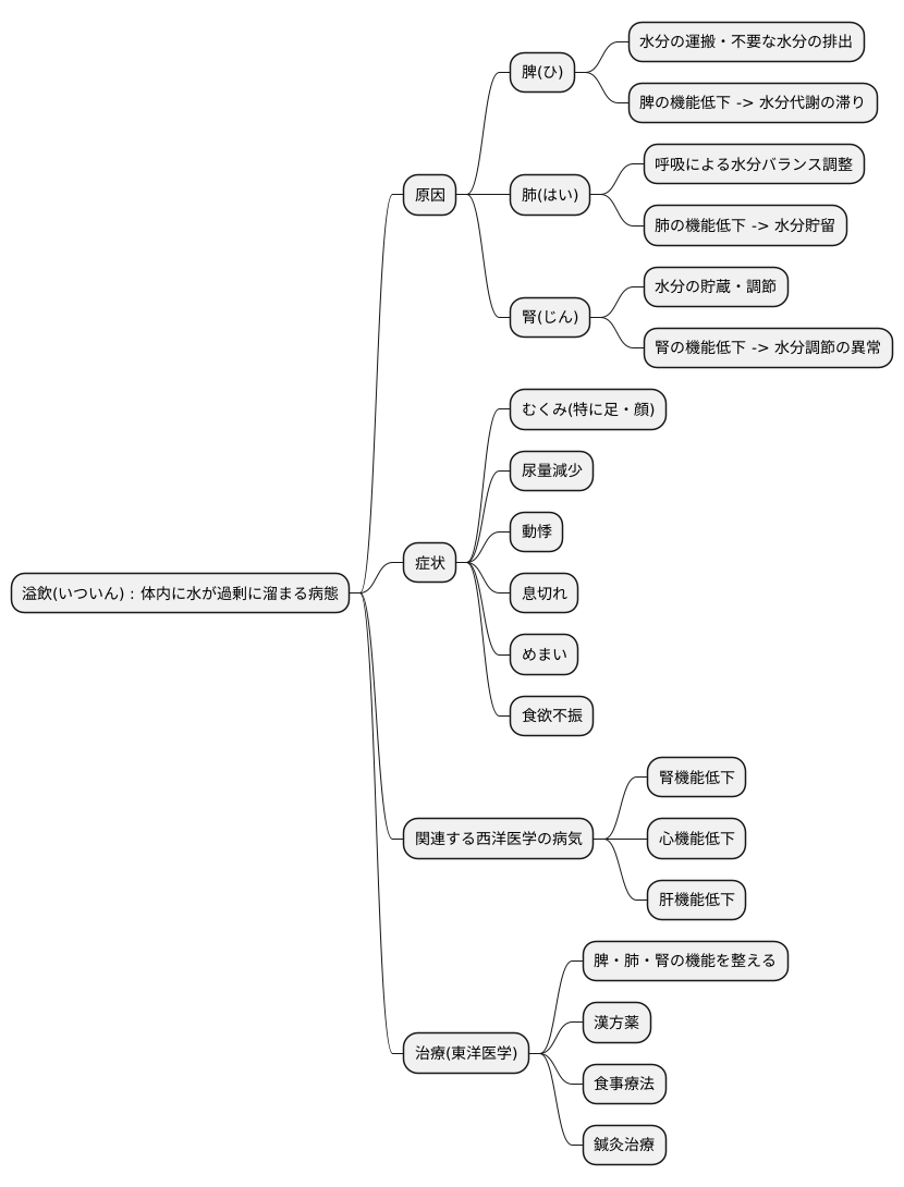 溢飲とは何か