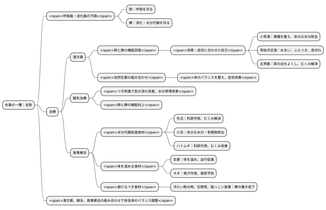 東洋医学的な治療