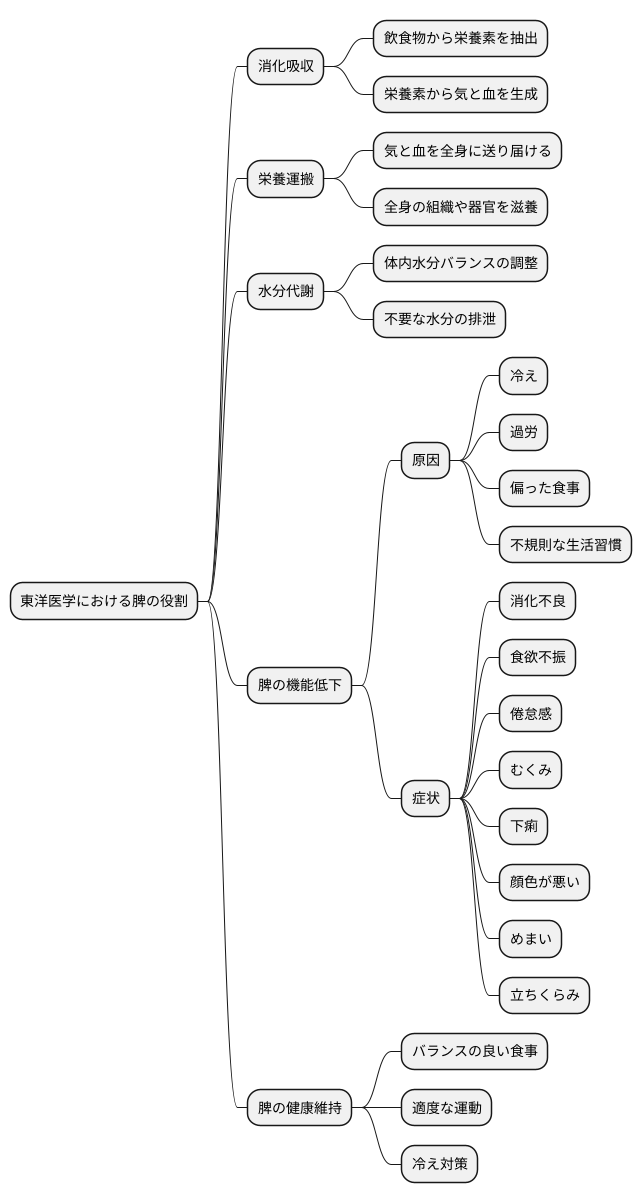 脾の働き