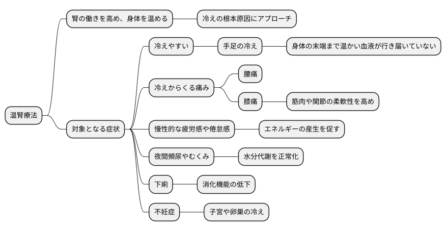 温腎療法の適応症状