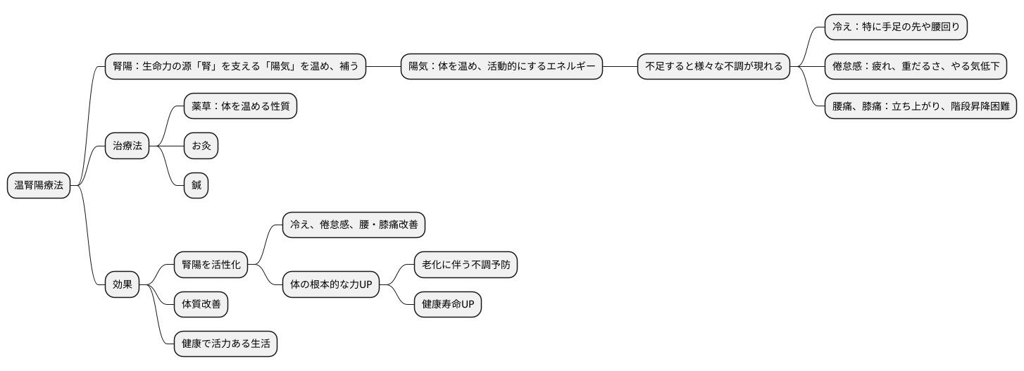 温腎陽療法の目的