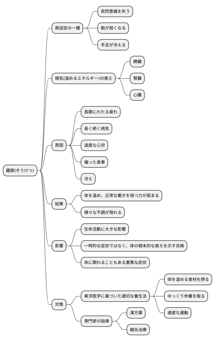 藏厥とは何か